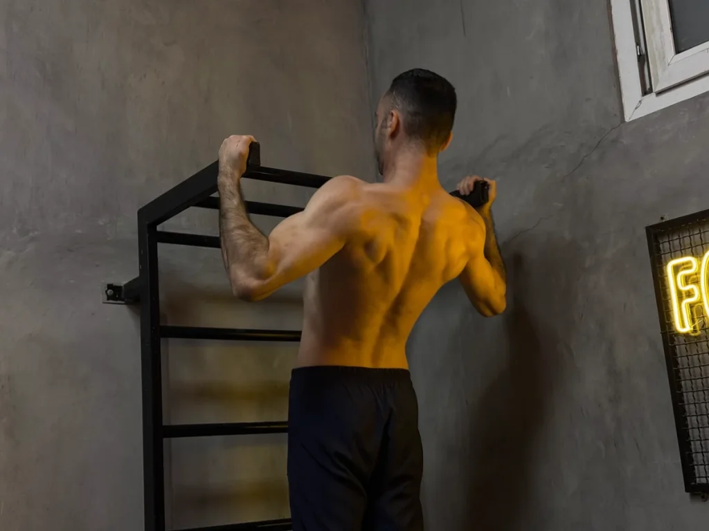 عضلات پشت در حرکت بارفیکس